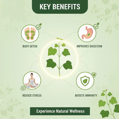 Foot Patch ( Buy 5 Get 5 Free )